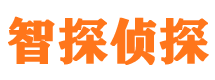 丰宁侦探公司